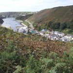 View of Solva harbour from The Gribbin